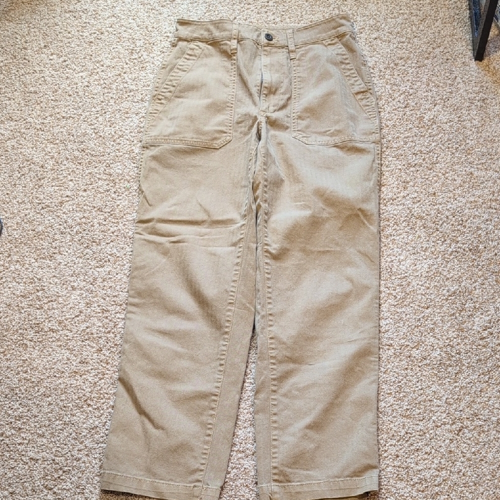 Madewell Pinstripe Pants 27